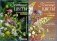 Комплект книг "Цветы из полимерной глины": Весенние цветы из полимерной глины. Подробные мастер-классы; Полевые цветы из полимерной глины. Подробные мастер-классы (количество томов: 2) фото книги маленькое 3