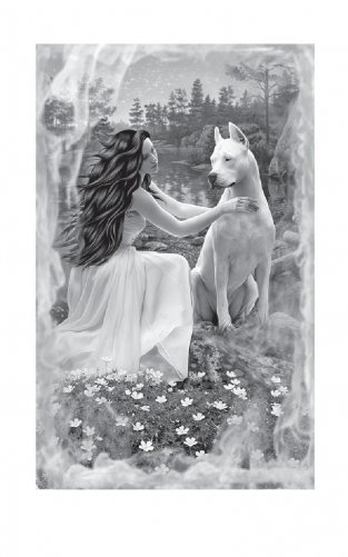 След паука. Пес императора фото книги 3