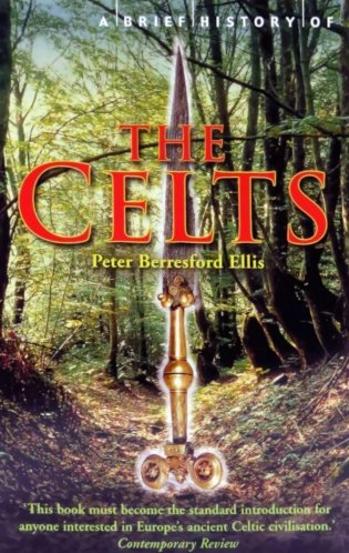 A Brief History of the Celts фото книги