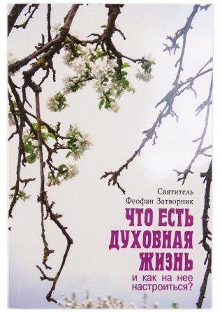 Что есть духовная жизнь и как на неё настроиться фото книги