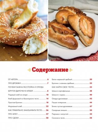 Любимые русские пироги фото книги 5