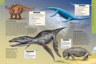 Динозавры. Большая детская энциклопедия фото книги 6