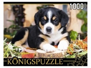 Пазлы "Konigspuzzle. Щенок швейцарского зенненхунда", 1000 элементов фото книги