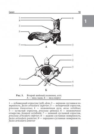 Анатомия человека. Полный компактный атлас фото книги 11