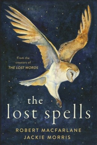 Lost spells фото книги