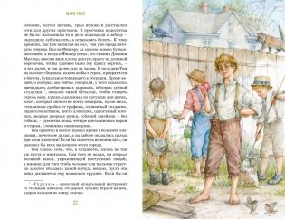 Приключения Тома Сойера фото книги 4