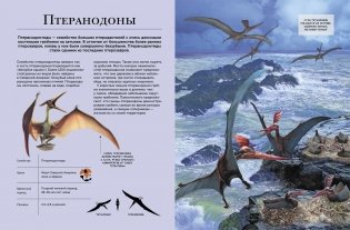 Динозавры. Современная энциклопедия фото книги 3