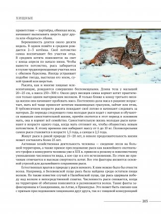 Млекопитающие Беларуси фото книги 5