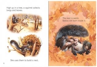 Baby Animals фото книги 4