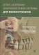 Атлас анатомии зубочелюстной системы для имплантологов фото книги маленькое 2
