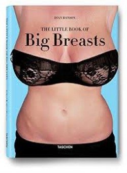 Little Book of Big Breasts фото книги