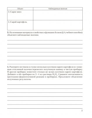 Биология. 11 класс. Тетрадь для лабораторных и практических работ (базовый уровень). ГРИФ фото книги 4