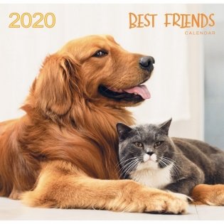 Календарь настенный перекидной на 2020 год "Домашние любимцы. Лучшие друзья", 320x320 мм фото книги