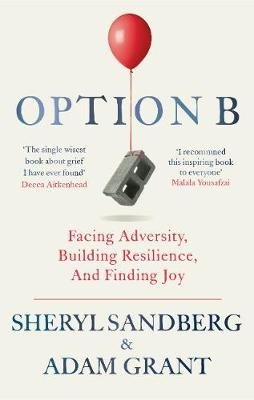 Option B. Facing Adversity, Building Resilience, and Finding Joy фото книги
