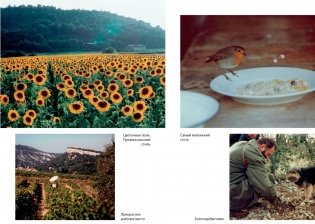 Мои двадцать пять лет в Провансе фото книги 2