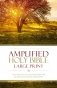 Amplified Holy Bible, Large Print: Captures the Full Meaning Behind the Original Greek and Hebrew фото книги маленькое 2