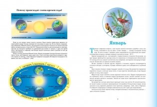 Времена года. Иллюстрированная энциклопедия фото книги 2