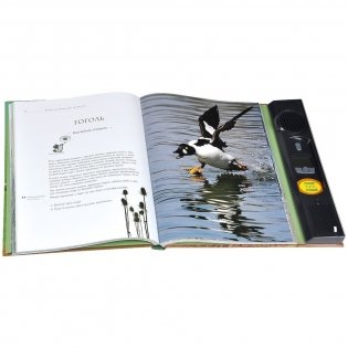 Птицы. Водоплавающие и околоводные фото книги 3