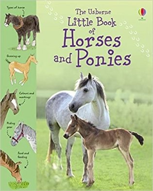 Little Book Of Horses & Ponies фото книги