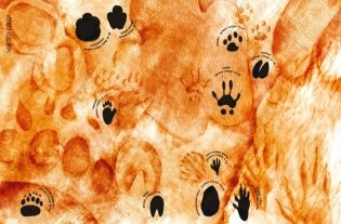 Самые удивительные животные в натуральную величину фото книги 7