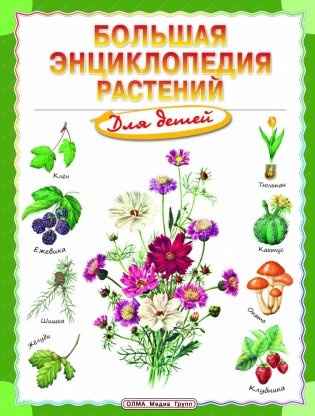 Большая энциклопедия растений для детей фото книги