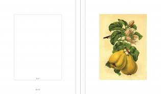 Instant Wall Art Vibrant Botanical Prints фото книги 6