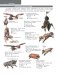 Большой определитель птиц, зверей, насекомых и растений России фото книги маленькое 10
