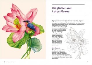 Birds and Flowers in Colored Pencil: Step-by-Step Tutorials and Techniques фото книги 5