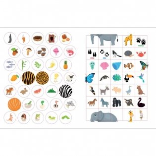 ND Play / Наклейки для умничек. Животные фото книги 4
