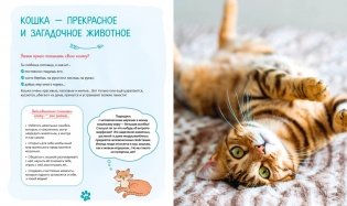 Я и моя кошка. Как понять питомца и стать ему другом фото книги 3