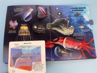 Тайны подводного мира фото книги 4