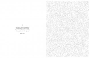 Mystery Coloring Mandalas фото книги 4