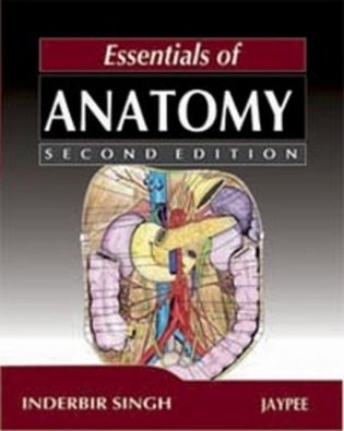 Essentials Of Anatomy фото книги