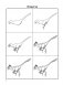Как нарисовать 100 динозавров: шаг за шагом фото книги маленькое 8