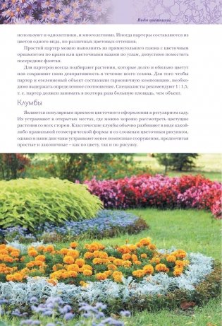 Цветники, розарии, клумбы фото книги 5
