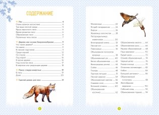 Лесные животные фото книги 2