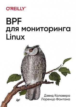BPF для мониторинга Linux фото книги