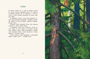 Год в лесу фото книги 6