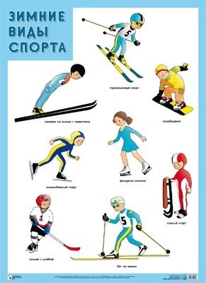 Плакат. Зимние виды спорта фото книги