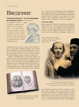 Мозг. История, теории и практики фото книги 4