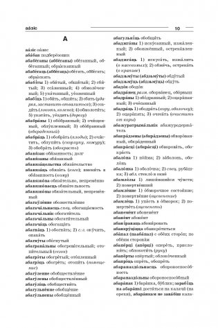 Большой белорусско-русский, русско-белорусский словарь фото книги 8