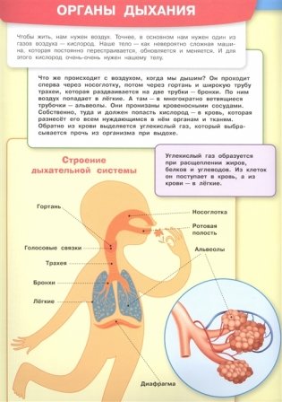 Тело человека. Моя первая энциклопедия с наклейками фото книги 4