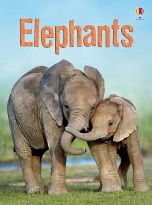 Elephants фото книги