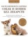 Как поддерживать здоровье собак и кошек без лекарств фото книги маленькое 2