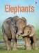 Elephants фото книги маленькое 2