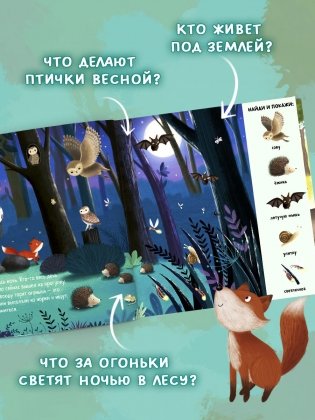 Найди и покажи. Животные в лесу фото книги 5