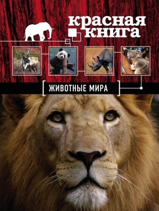 Красная книга. Животные мира фото книги 2