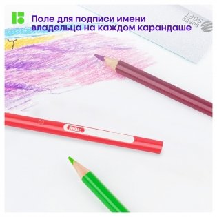 Карандаши цветные Berlingo "SuperSoft. Жил-был кот", 12 цв., трехгран., заточен., картон, европодвес. Арт. SS00512 фото книги 3