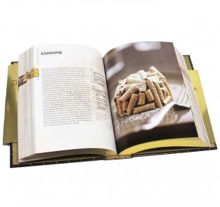 Золотая книга шоколада. Более 300 отличных рецептов фото книги 3