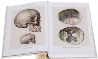 Bourgery. Atlas of Human Anatomy and Surgery фото книги 2